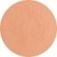 Picture of Superstar Light Skin Complexion (Nude FAB) 16 Gram (001)