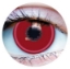 Picture of Primal Yor Forger ( Red Cosplay Colored Contact lenses ) 822