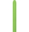 Picture of 260S Sempertex Fashion Lime Green 031 (50/bag)