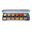 Picture of Ben Nye Media Pro Concealer 12 Color Palette (NKP-12)